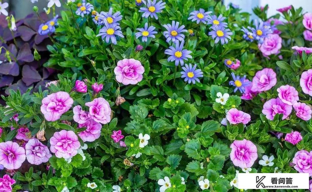 电影李元霸1983版 李元霸的师傅是谁？