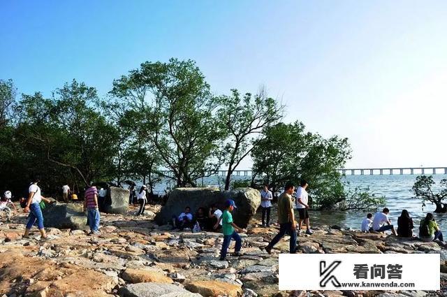 深圳自由行住宿推荐