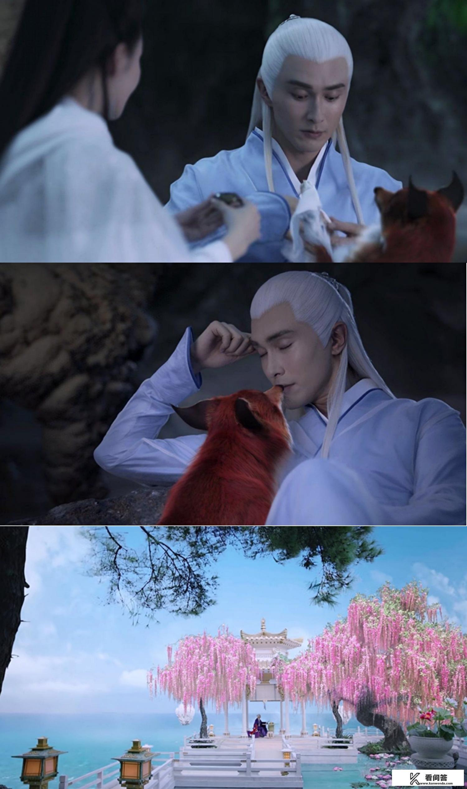 《三生三世枕上书》除了男主角东华帝君以外，白凤九还有哪些追求者？怎么样？
