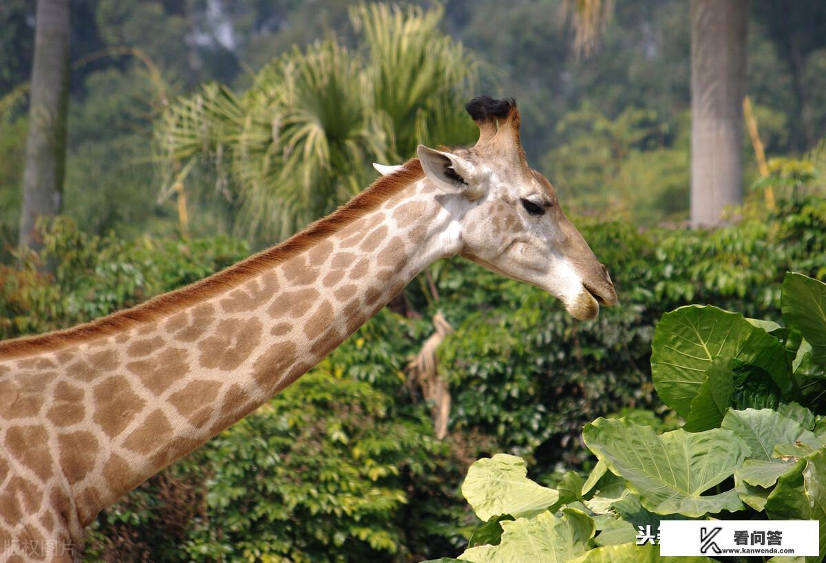 莫高窟旅游详细攻略? 莫高窟旅游详细攻略?