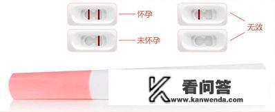 早孕棒怎么看？