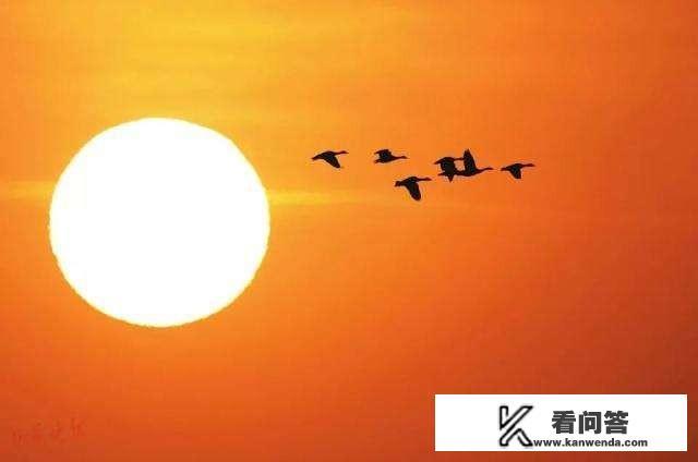 市场营销的职业发展道路如何呢？