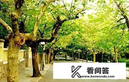 作者春风债的小说？