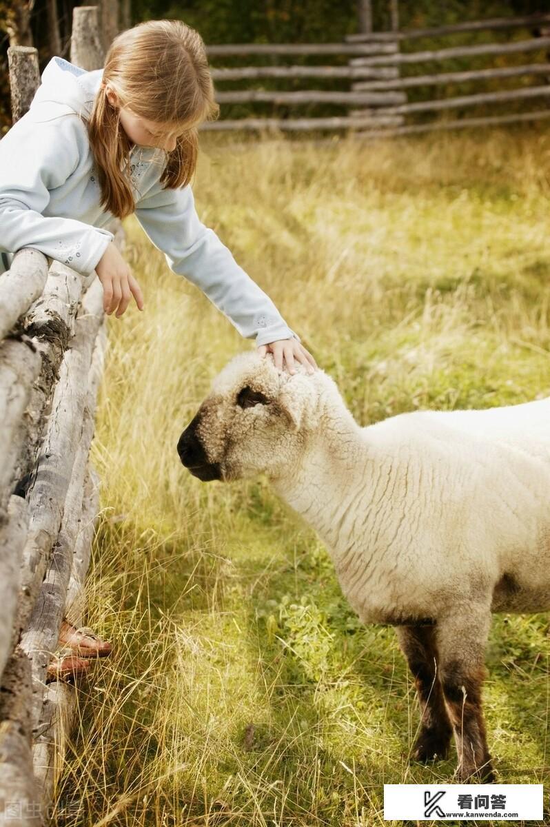 十二生肖中,哪些生肖遇到困难会有贵人相助? 十二生肖中,哪些生肖遇到困难会有贵人相助?