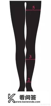 什么样的腿算美腿呢?维密模特腿的标准是什么? 什么样的腿算美腿呢?维密模特腿的标准是什么?