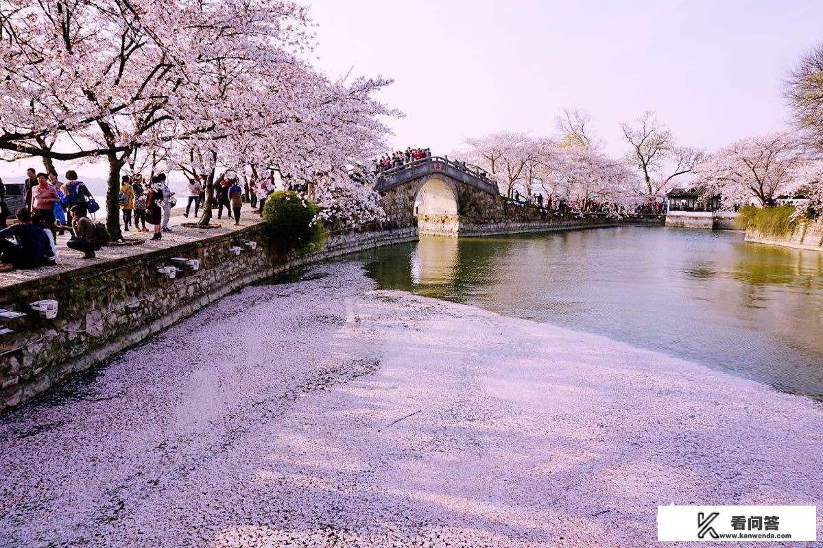 济南出发，自驾游7天，有什么好的建议，求推荐，想向南走，带6岁孩子？