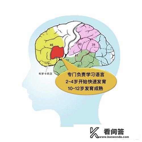 在你学习外语之后，生活中遇到的外语你是否下意识转换成母语？