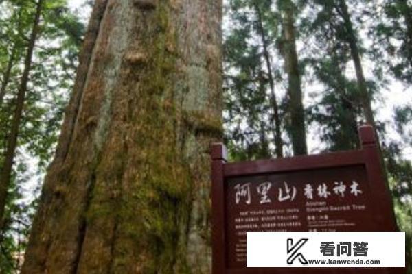 台湾旅游景点有哪些？