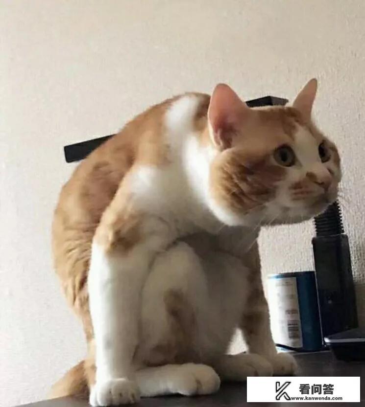 香港莎莎，购物凭证是真的吗？