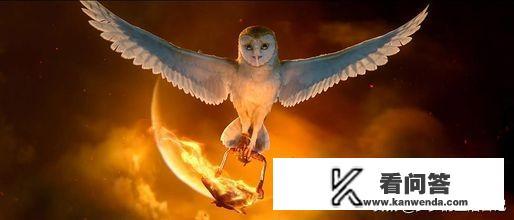 电影《猫头鹰王国》怎么样，适合成年人看吗？