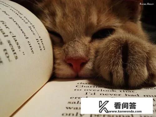 那位老人在六十岁时开始学习画画的英文？