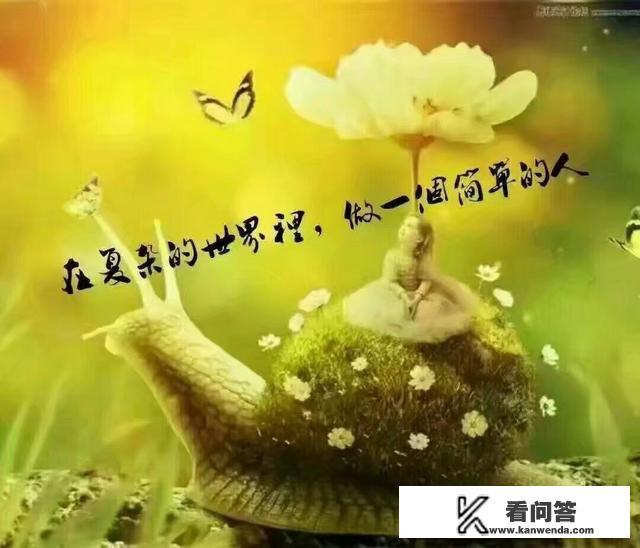 如何能够更高效地学习英语。我老是记不住英语单词？