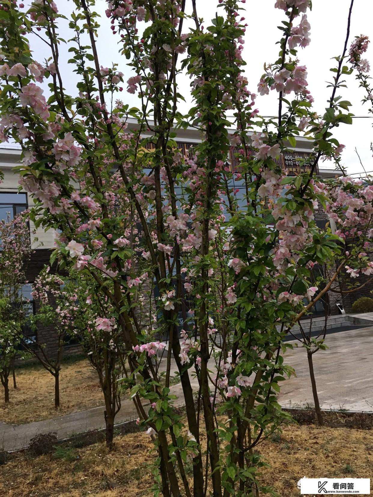 北京怀柔雁栖湖景区有游泳区吗？