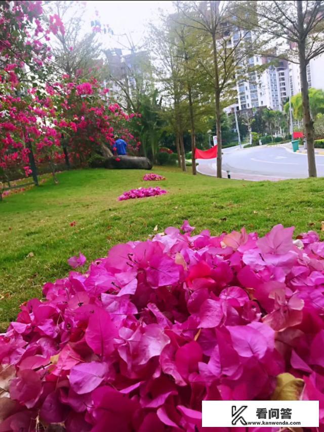 家里有未结婚的30出头的闺女和小子，哪家的父母更着急？