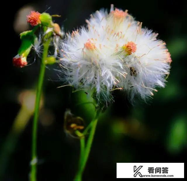 人身权利等于生命权利吗？