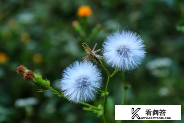 人身权利等于生命权利吗？