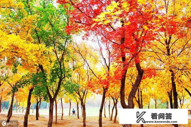 人身权利等于生命权利吗？