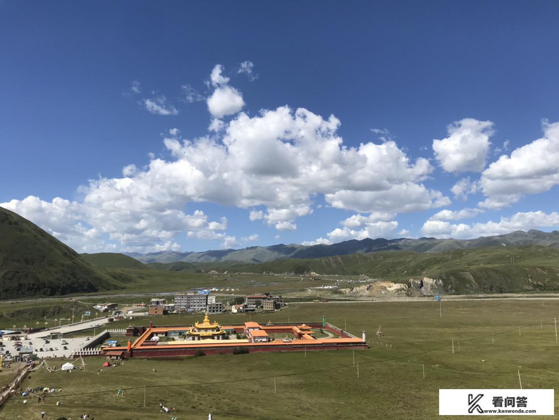 作为新时代大学生，谈谈你如何规划自己的大学生活？