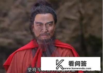 ps2三国志战纪2详细攻略？