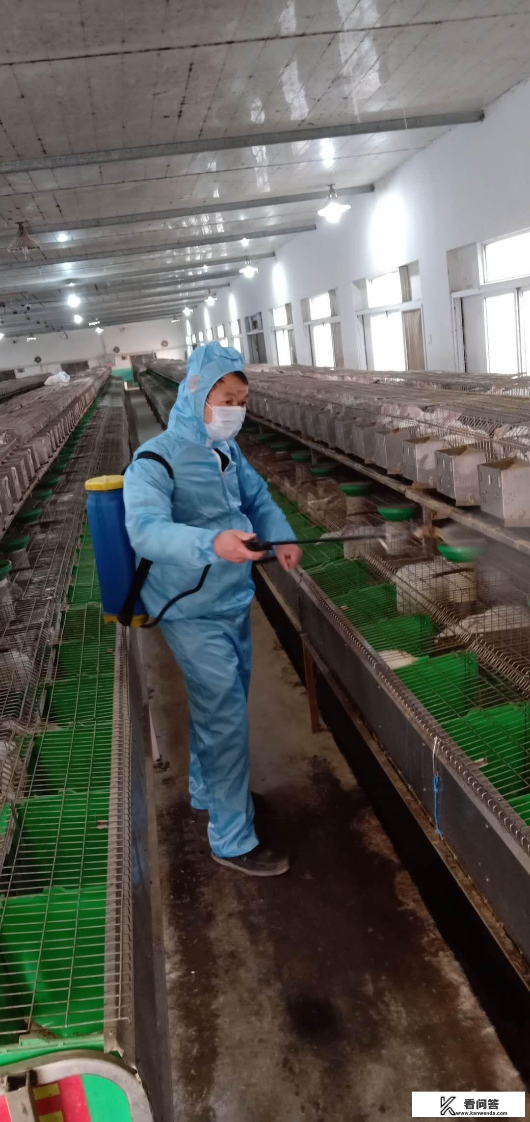 例如,消毒威这类兽用消毒药品,虽然对宠物有效,但同样对人体具有潜在危害。因此,在消毒过程中,务必佩戴口罩等防护装备,以防止吸入有害物质。