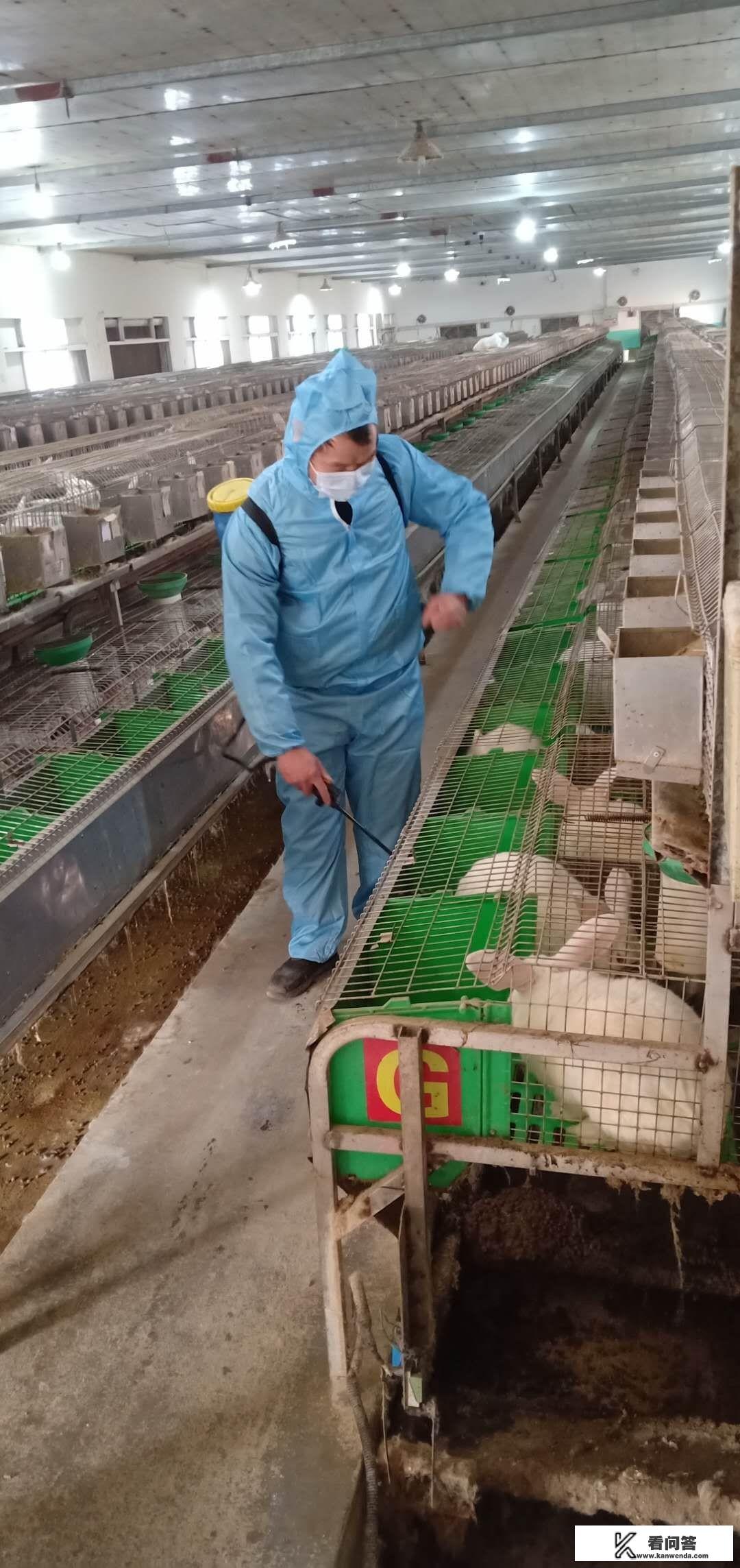 例如,消毒威这类兽用消毒药品,虽然对宠物有效,但同样对人体具有潜在危害。因此,在消毒过程中,务必佩戴口罩等防护装备,以防止吸入有害物质。