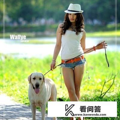 有人说柴犬很凶，甚至咬主人，是不是真的？