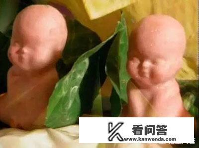 为什么大家吃了人参果都说难吃？