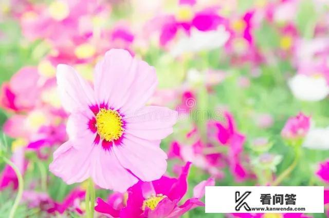 高考是什么意思，中考是什么意思？
