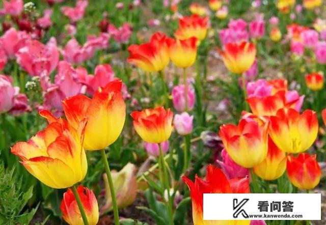 高考是什么意思，中考是什么意思？