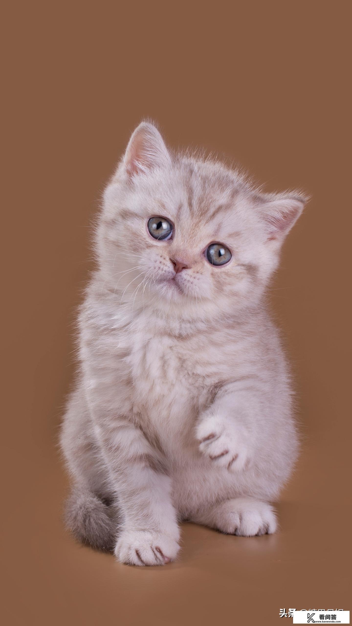 小孩认干爹需要哪些规矩呢?有认过的给点介意？