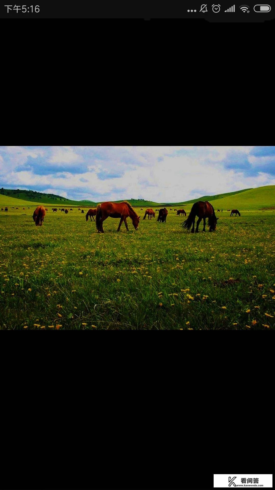 木兰草原好不好玩？