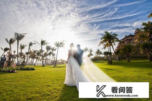 乡村物语读书心得？