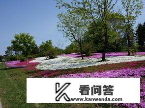 沈阳世博园现在怎么样了？值得去玩不？