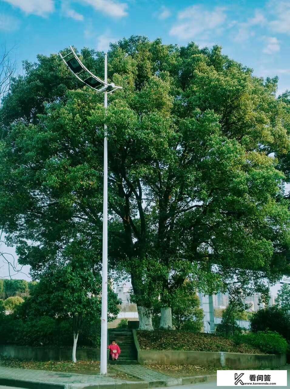 《平凡的世界》到底讲了什么？