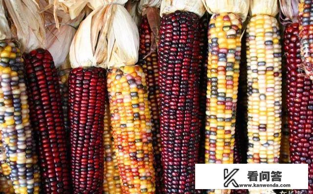 马来西亚买包包便宜吗？