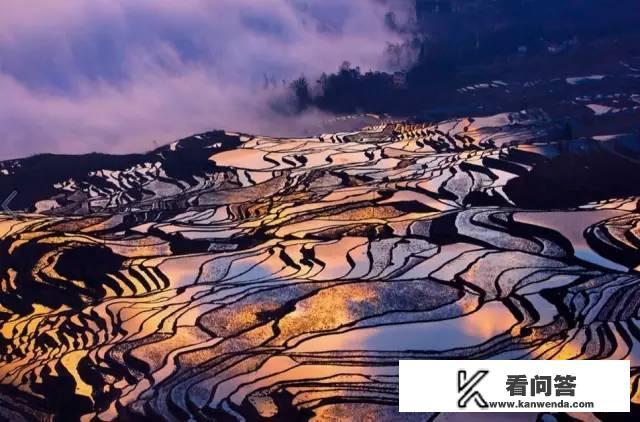 元阳梯田免门票攻略？