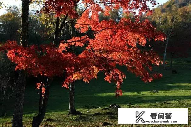 嘉定理想之地好不好？