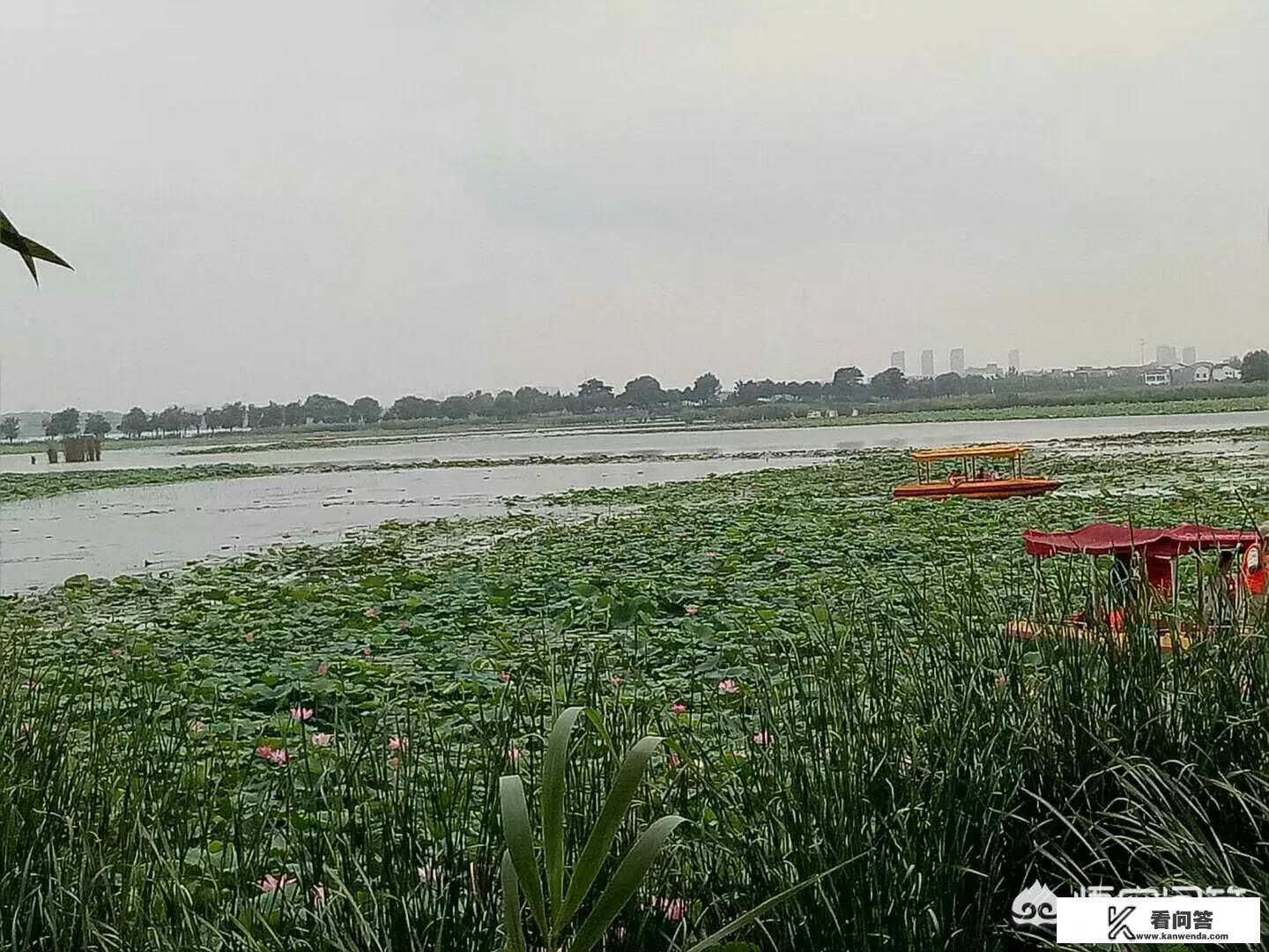 清华大学为何提前放寒假? 清华大学为何提前放寒假?