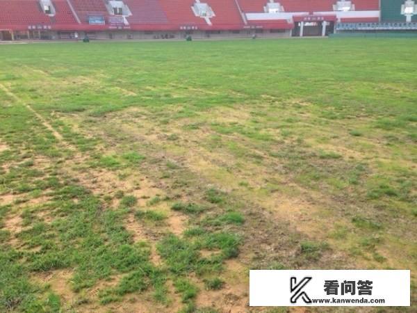 足球比赛在夏天进行好还是冬天进行好？为什么？