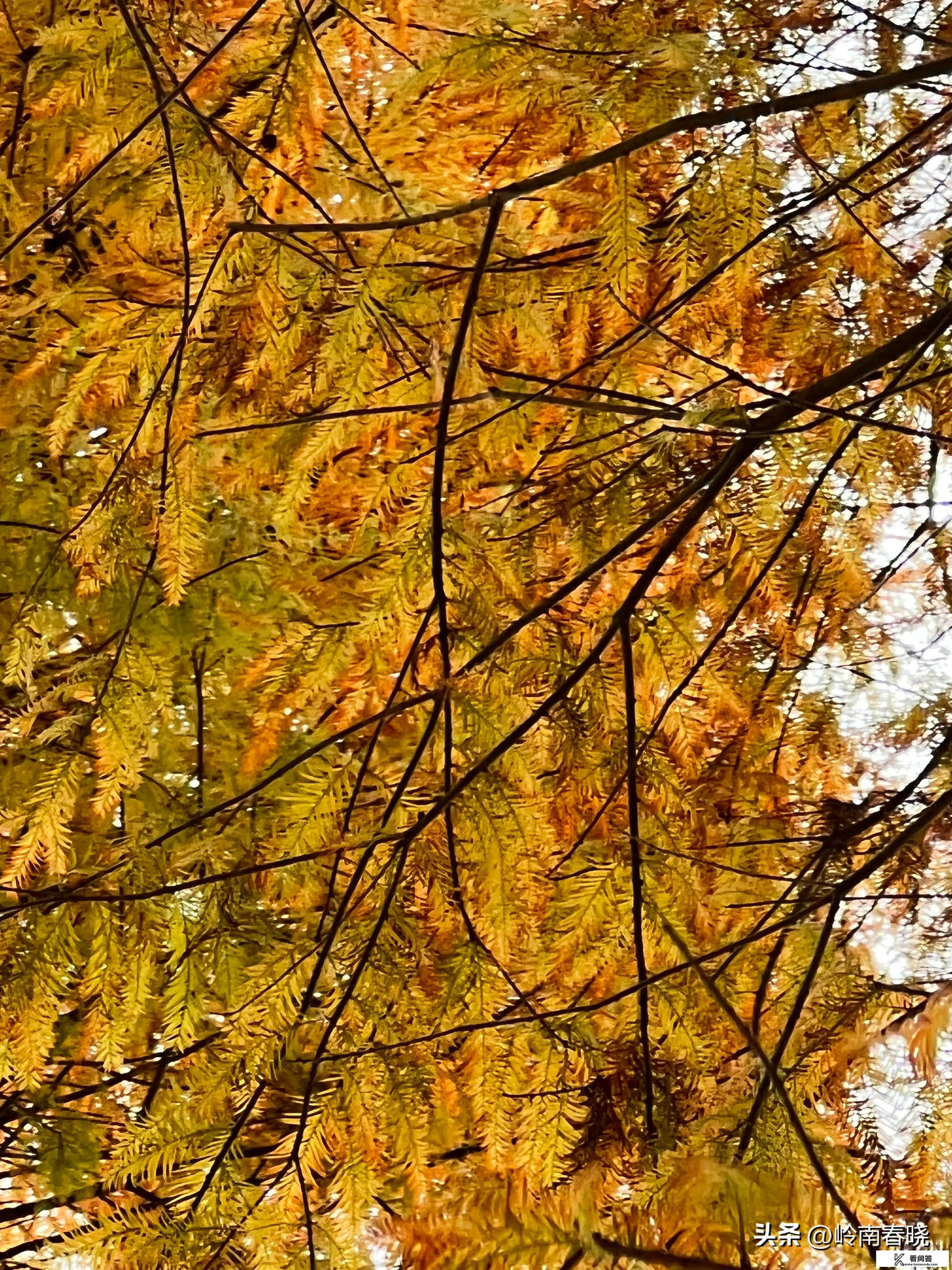 想带家人去广州的华南植物园，贵吗？值得去吗？