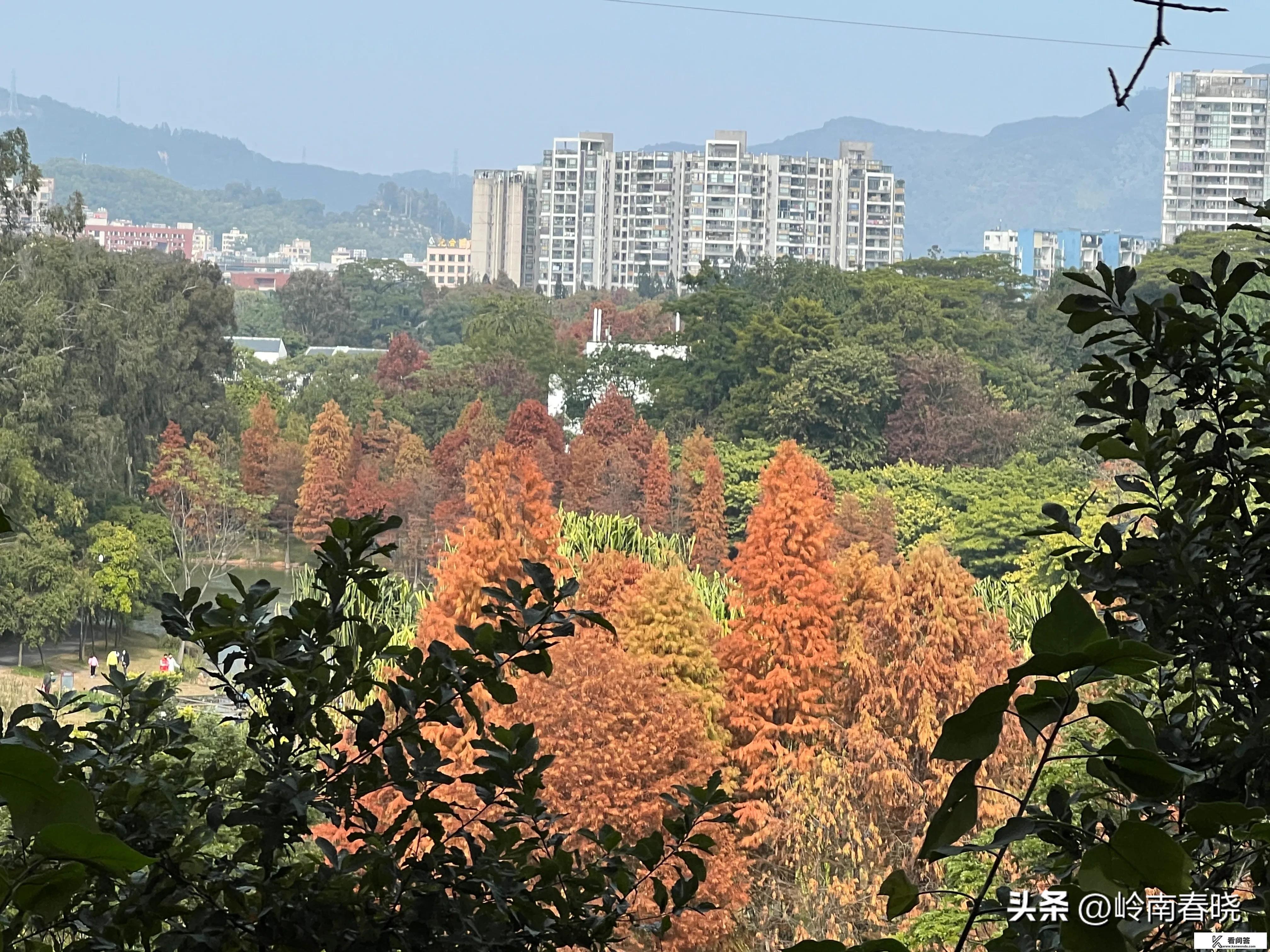 想带家人去广州的华南植物园，贵吗？值得去吗？