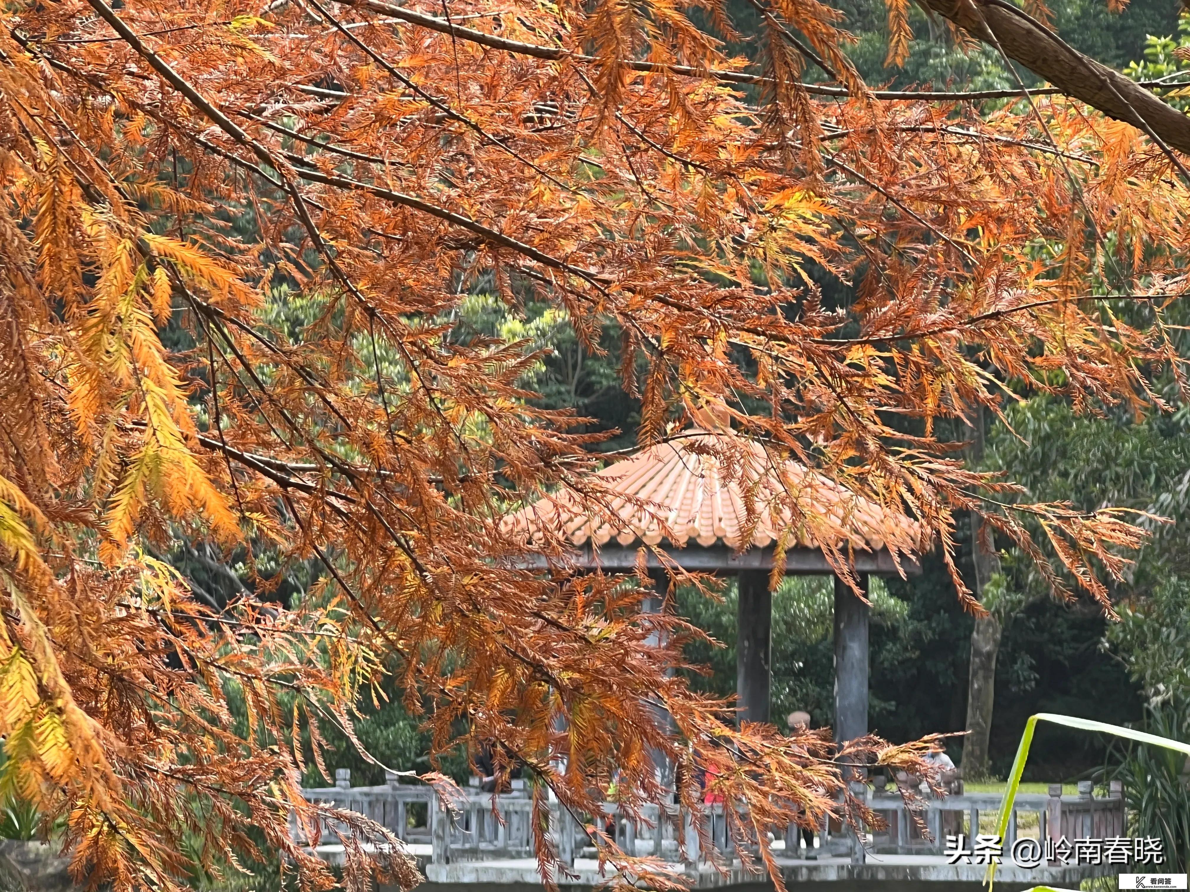 想带家人去广州的华南植物园，贵吗？值得去吗？