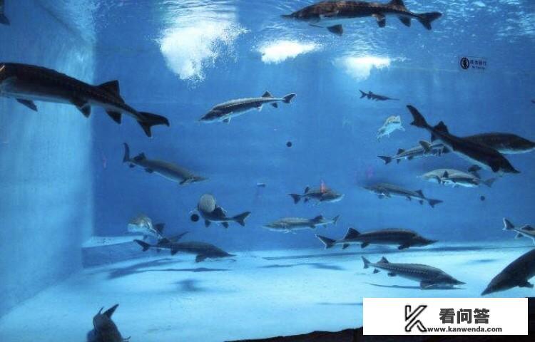 济南的海底世界在哪里？怎么样？