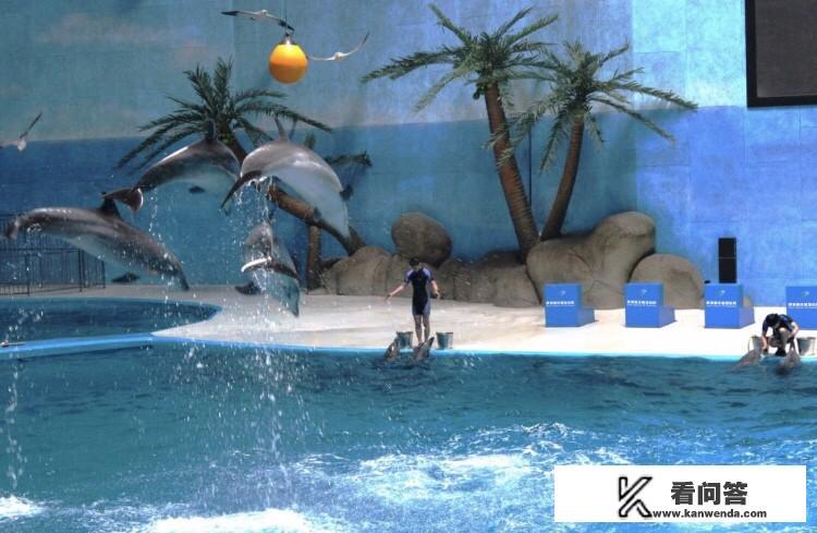 济南的海底世界在哪里？怎么样？