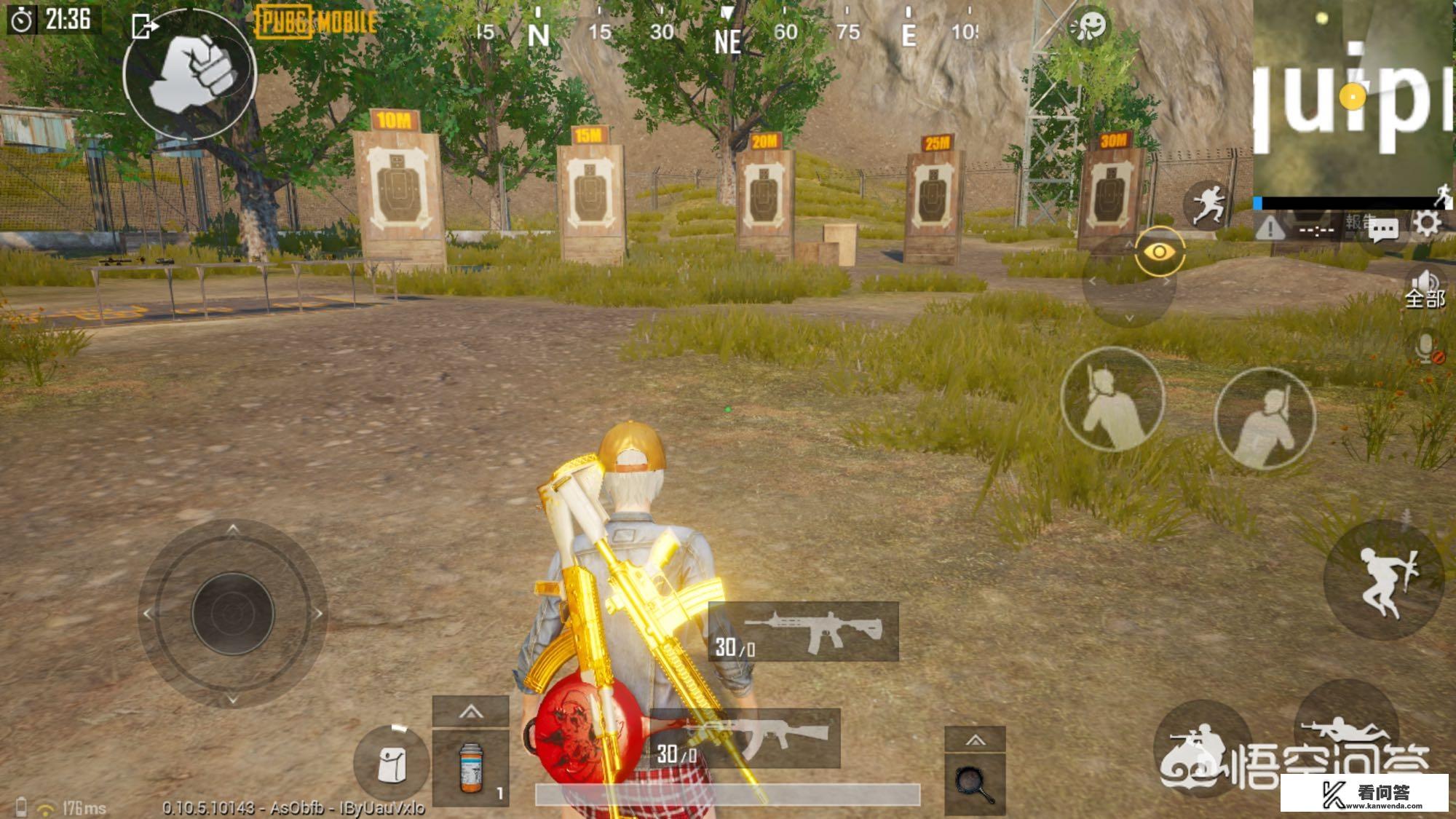 至尊金龙能买吗？