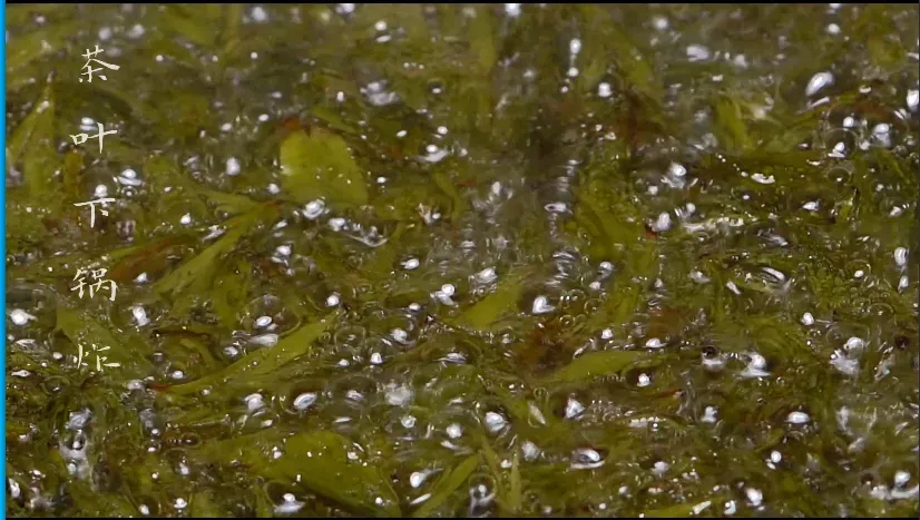 茶叶可以吃吗？