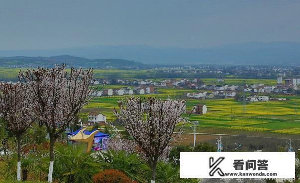 洋县是哪个省的﹖? 洋县是哪个省的﹖?