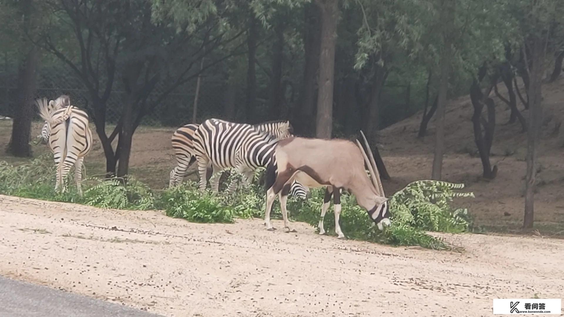 延庆是如何划给北京的? 延庆是如何划给北京的?