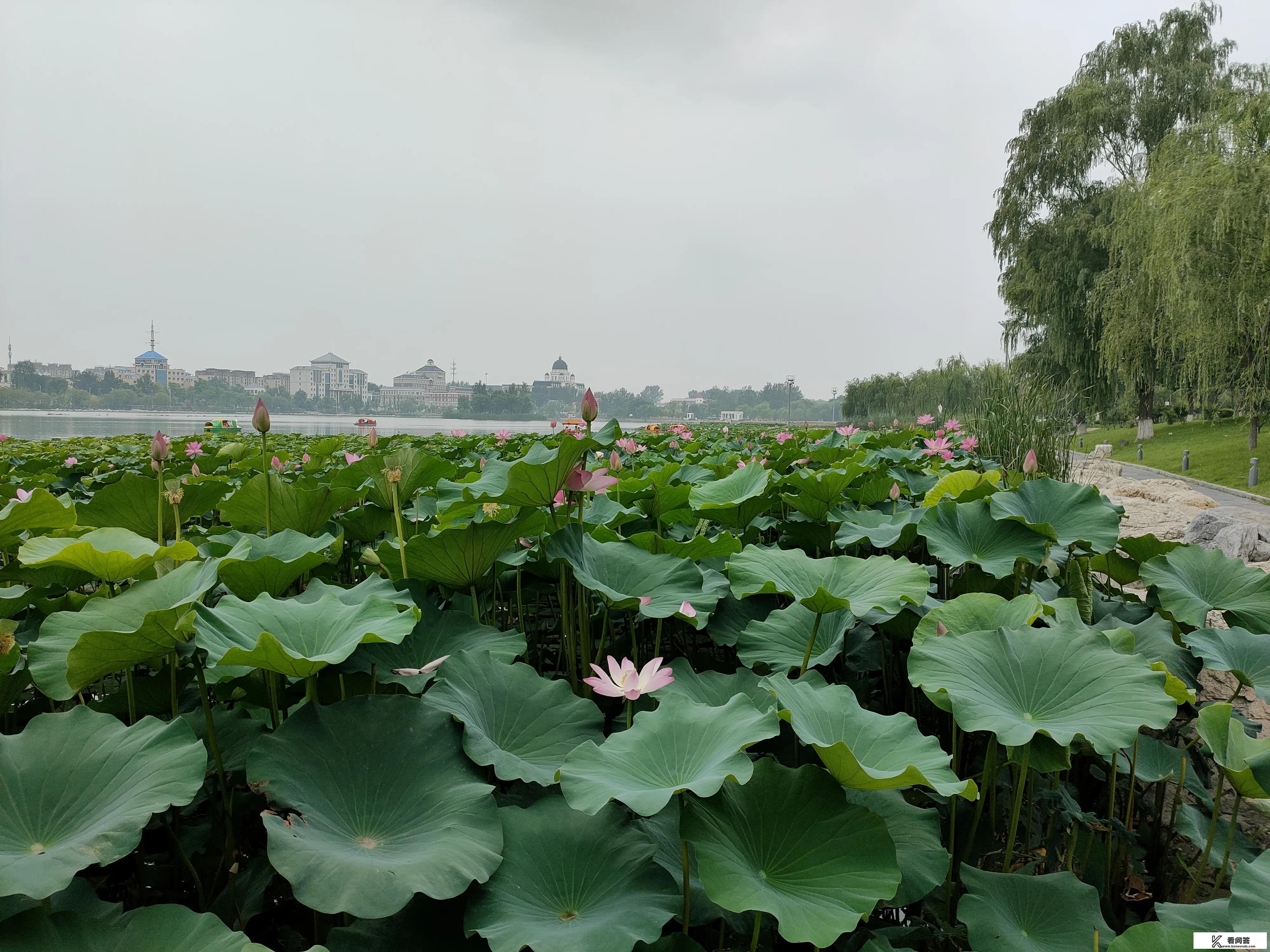 延庆是如何划给北京的? 延庆是如何划给北京的?