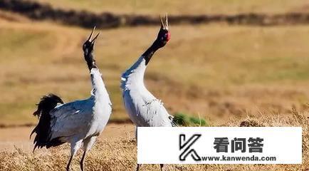 昆明寻甸有几个村镇？